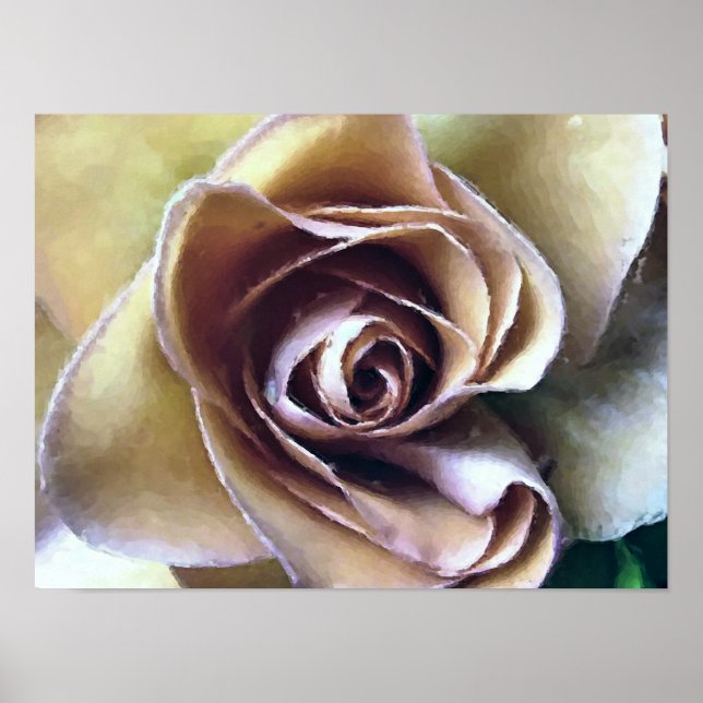 POSTER ROSES (Devant)