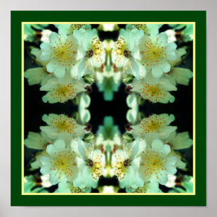Poster Roses à galets blanc sauvage Floral Abstrait
