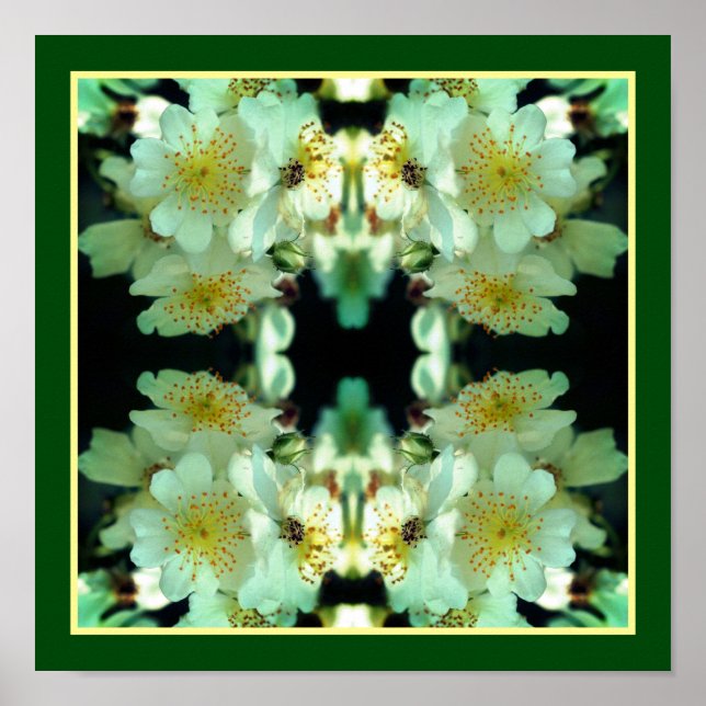 Poster Roses à galets blanc sauvage Floral Abstrait (Devant)