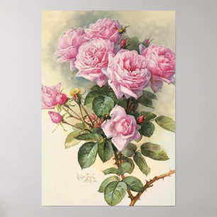 Poster Roses and Bumblebees Paul de Longpre Fine Art