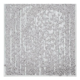 Poster Roses blanches E