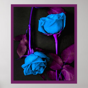Poster Roses bleus - 20x24 -autres tailles disponibles
