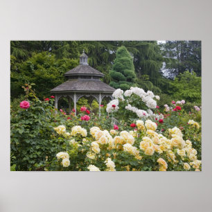 Poster Roses en fleurs et jardin Rose Gazebo au