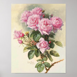 Poster Roses et bourdons Paul de Longpre Art