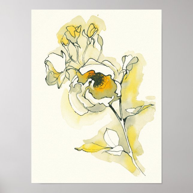 Poster Roses jaune et blanc (Devant)