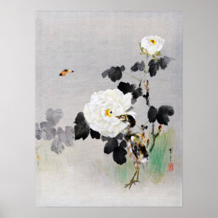 Poster Roses, Jeune Oiseau et papillon, Watanabe Seitei