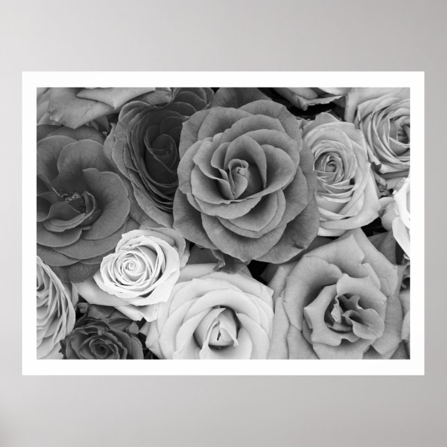 Poster Roses Noir Et Blanc Motif Large (Devant)