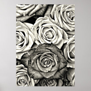 Poster Roses noires et blanches