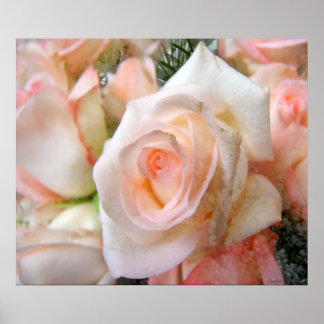 Poster Roses roses
