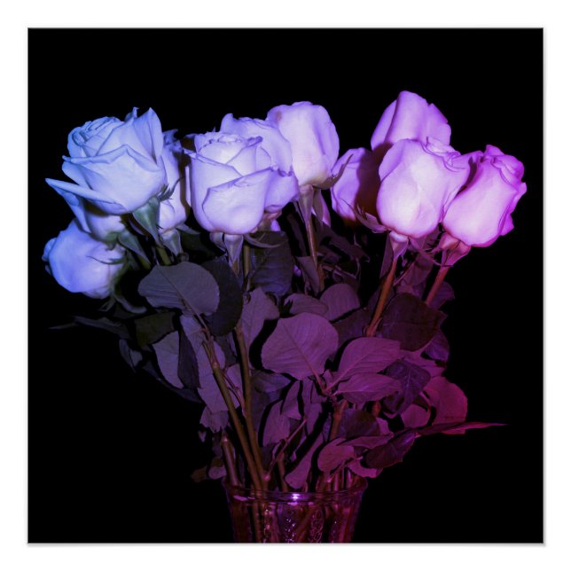 Poster Roses roses et violets à longue tige en Vase sur n (Devant)