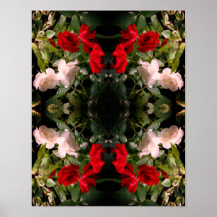 Poster Roses Rouge et Blanc trempés Abstraits