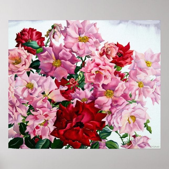 Poster Roses rouges et roses 2008 (Devant)