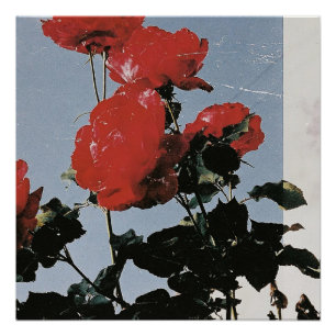 Poster Roses rouges vintage sur un ciel bleu
