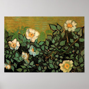 Poster Roses sauvages (F597) Van Gogh Fine Art
