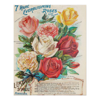 Poster Roses vintages de l'Everfloraison