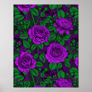 Poster Roses violets