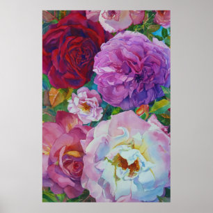 Poster Rosy