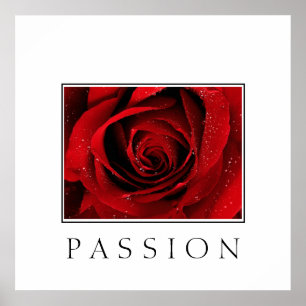 Poster-Rote Rose-Passion Poster