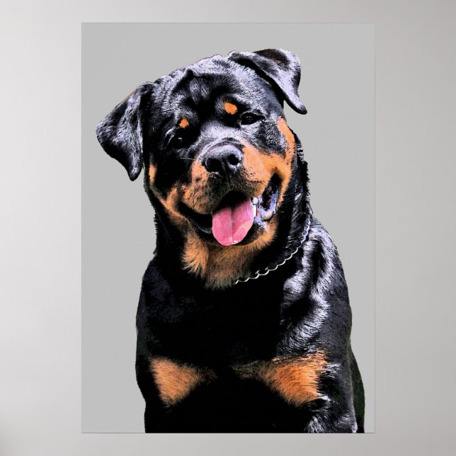 Poster Rottweiler (Devant)