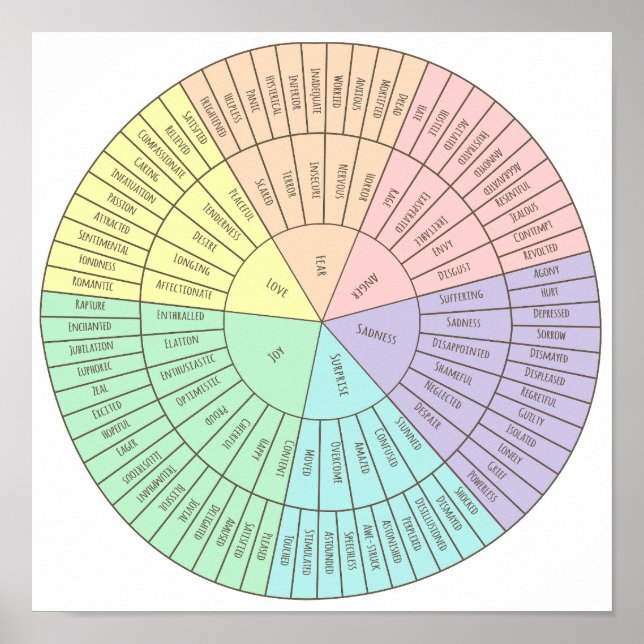 Poster Roue de l'affiche des émotions (Devant)