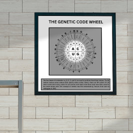Poster Roue du code génétique