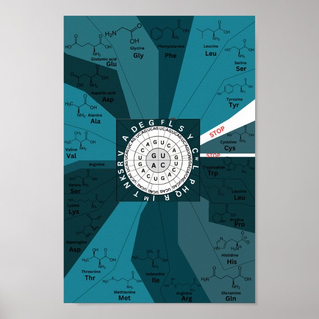 Poster Roue génétique du diagramme de codon d'acides amin (Devant)