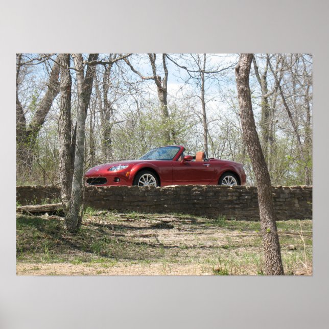 Poster Rouge cuivre (Devant)