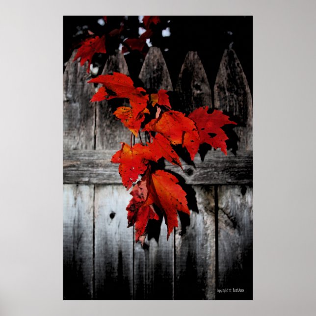 Poster Rouge d'automne (Devant)