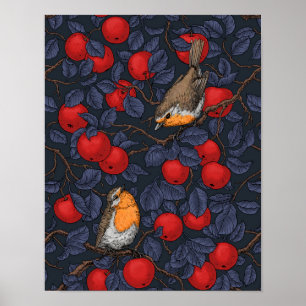 Poster Rouge-gorges dans le pommier/bleu et rouge