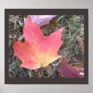 Poster rouge jaune feuille d'automne