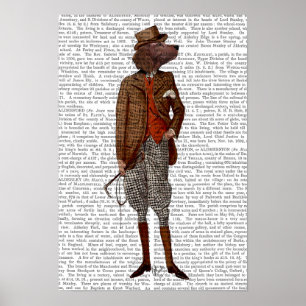 Poster Rouge Setter Rider Full