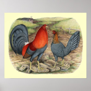 Poster Rouges bleus de jeu américain