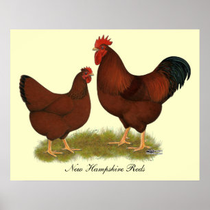 Poster Rouges du New Hampshire