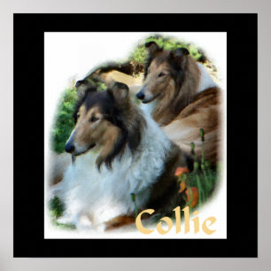 Poster Rough Collie Art Don