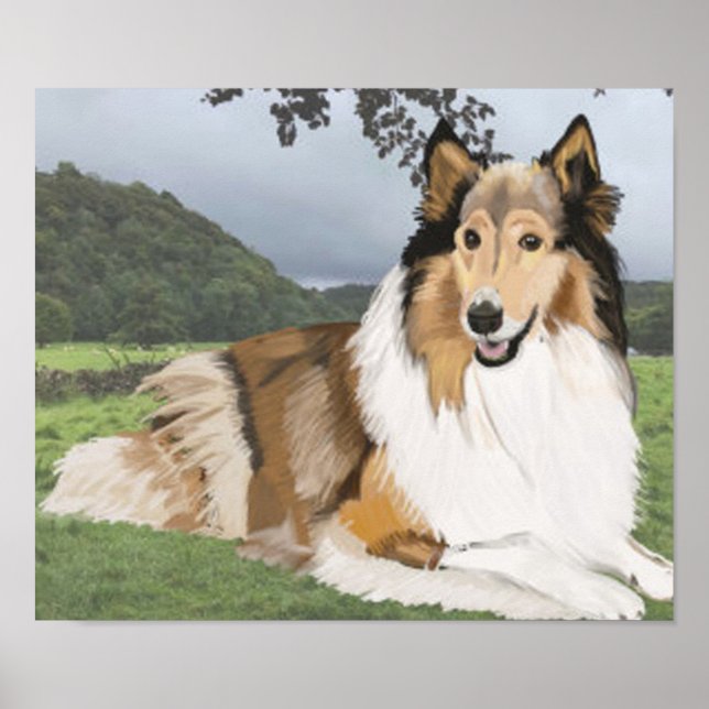 Poster Rough Collie contre le Yorkshire Dales (Devant)
