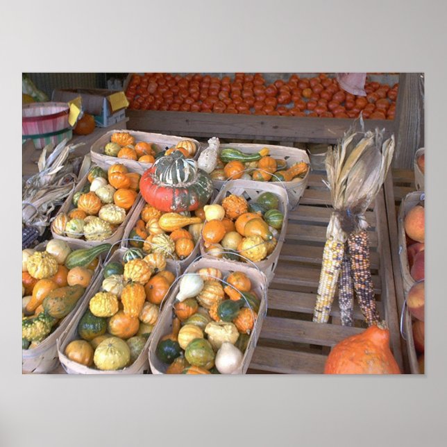 Poster Roulage (Devant)