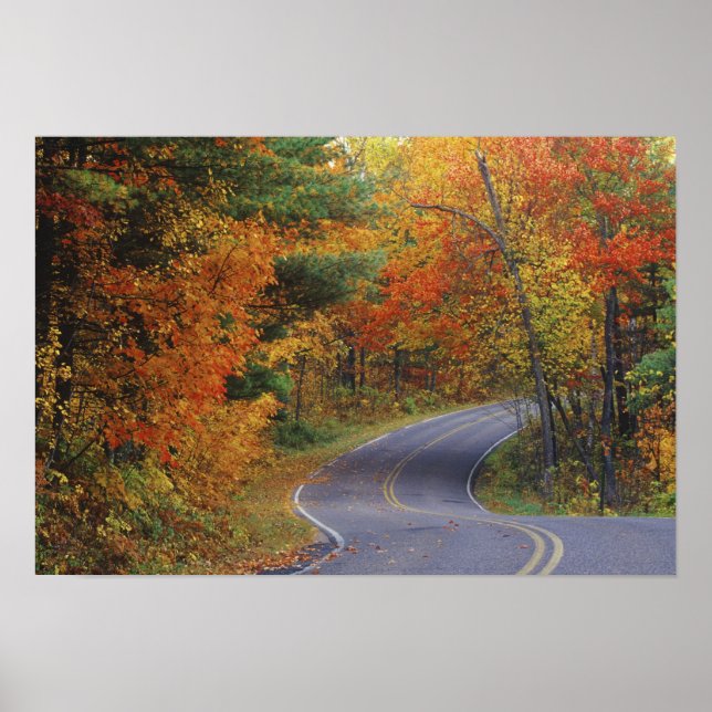 Poster Route arborée d'automne dans le Parc d'Etat Itasca (Devant)