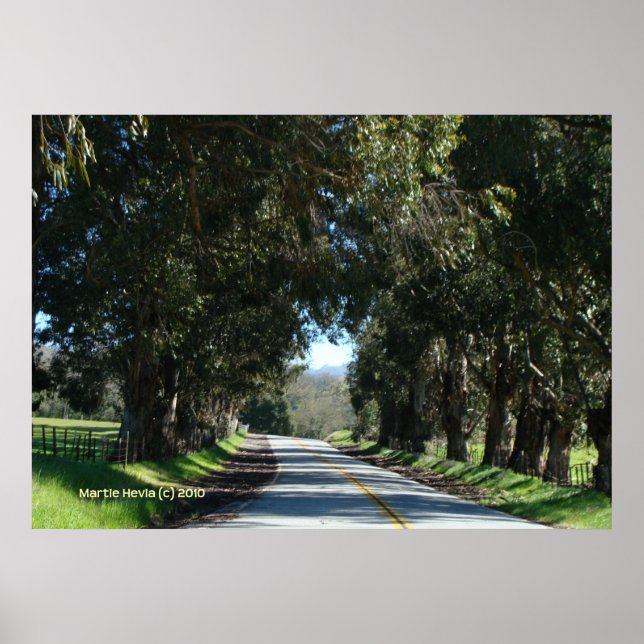 Poster Route de campagne bordée d'arbres (Devant)