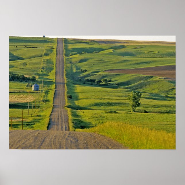 Poster Route de gravier de Comertown dans le nord-est élo (Devant)