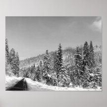 Route de la forêt d'hiver