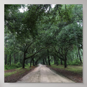 Poster route de santee