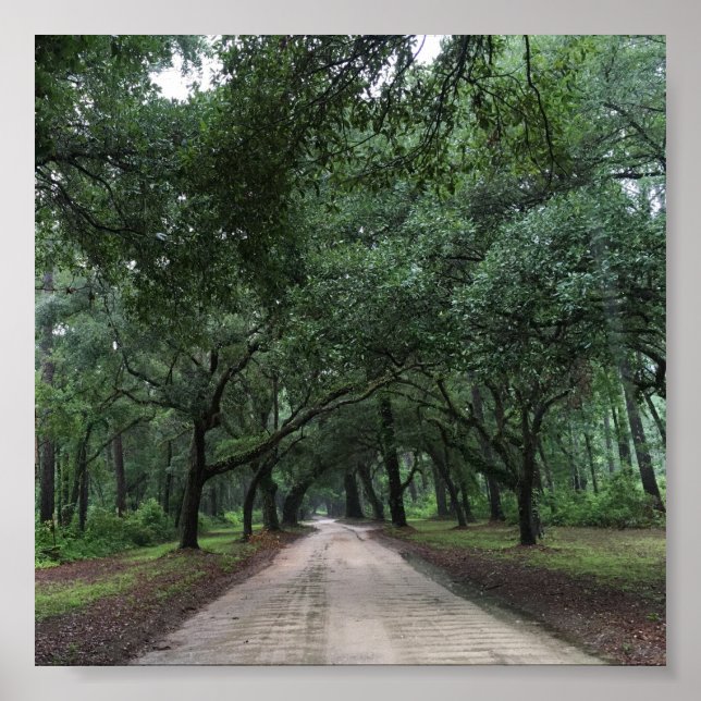 Poster route de santee (Devant)