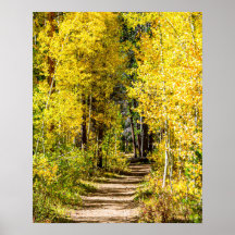 Route des arbres jaunes // Randonnée à l'automne