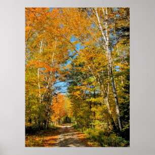 Poster Route rurale Automne Colonnes New Hampshire