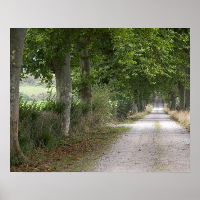 Poster Route rurale de terre à proximité de la ville de (Devant)