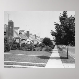 Poster Row of Houses