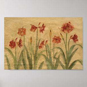 Poster Row of Red Amaryllis