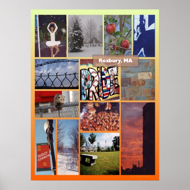 Poster Roxbury, MA photo collage (Devant)
