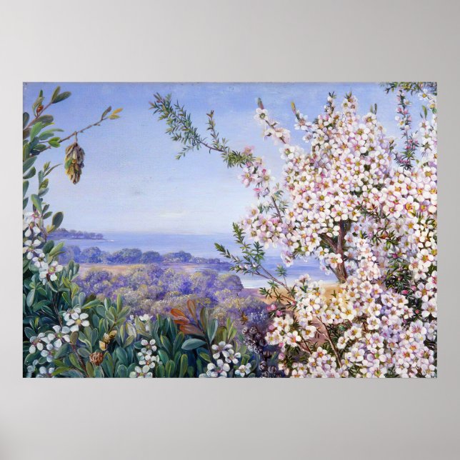 Poster Royal Botanic par Marianne North (Devant)