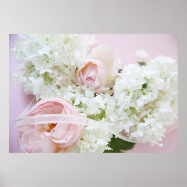 Poster Ruban hydrangea rose (Devant)